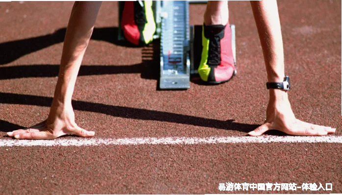 核心优势